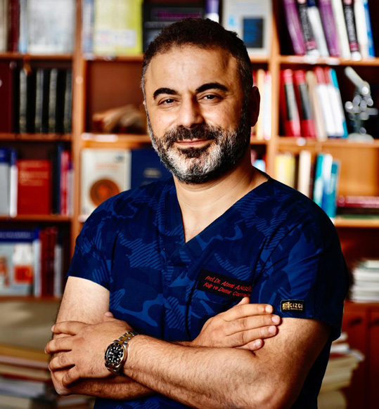 Prof. Dr. Ahmet Akgül